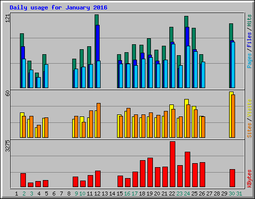 Daily usage for January 2016