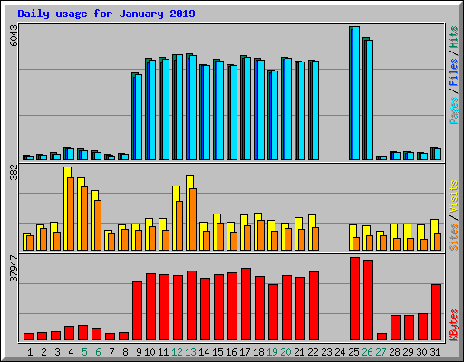 Daily usage for January 2019