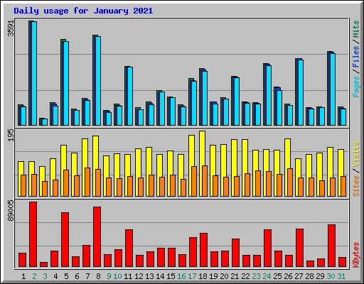 Daily usage for January 2021