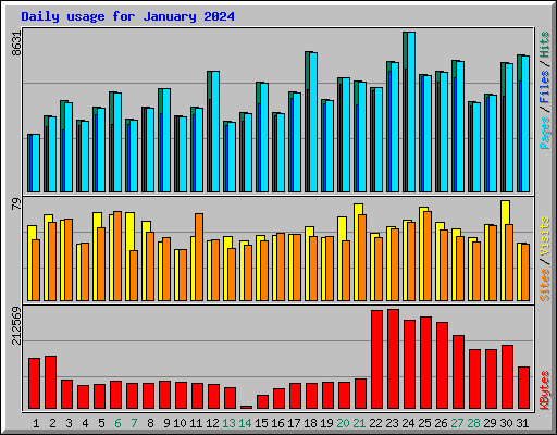 Daily usage for January 2024