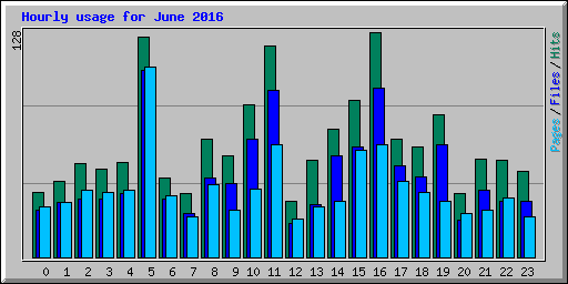 Hourly usage for June 2016
