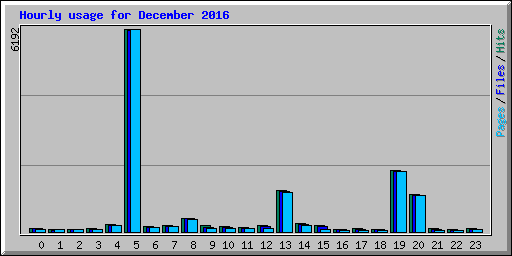 Hourly usage for December 2016
