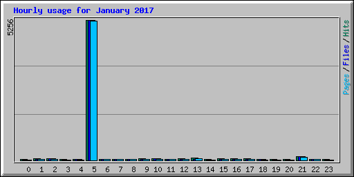 Hourly usage for January 2017
