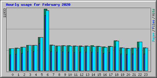 Hourly usage for February 2020