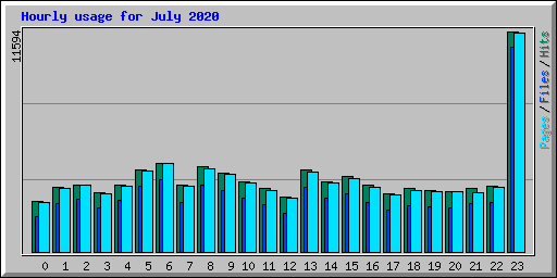 Hourly usage for July 2020