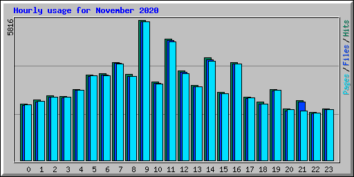 Hourly usage for November 2020