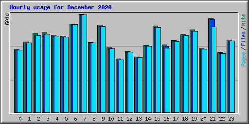 Hourly usage for December 2020