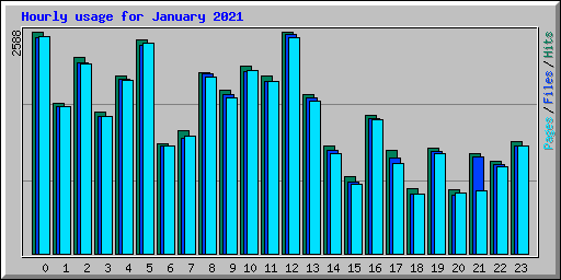 Hourly usage for January 2021