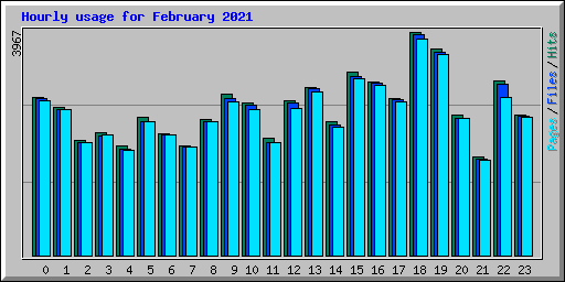 Hourly usage for February 2021