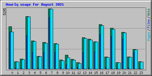 Hourly usage for August 2021