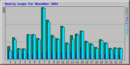 Hourly usage for November 2021