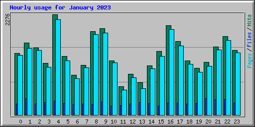 Hourly usage for January 2023