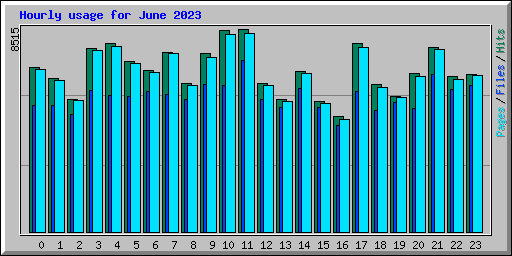 Hourly usage for June 2023