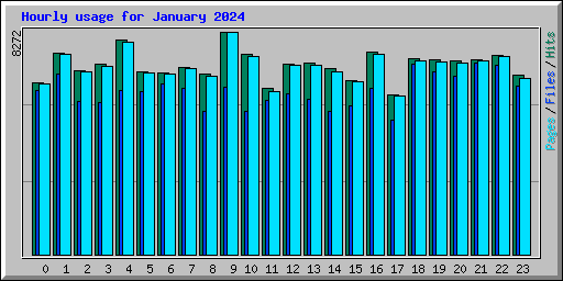 Hourly usage for January 2024