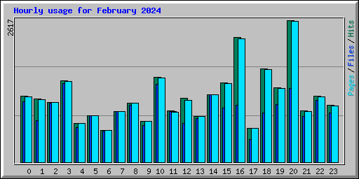 Hourly usage for February 2024