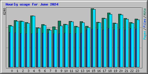Hourly usage for June 2024