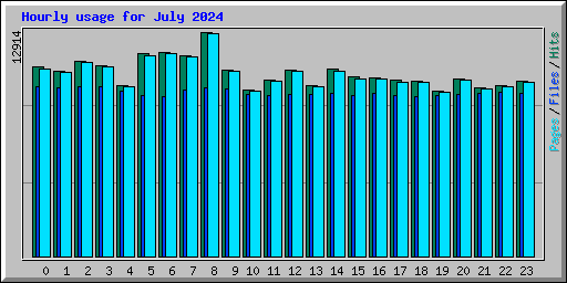 Hourly usage for July 2024