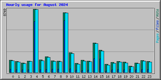 Hourly usage for August 2024