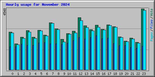 Hourly usage for November 2024