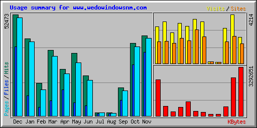 Usage summary for www.wedowindowsnm.com
